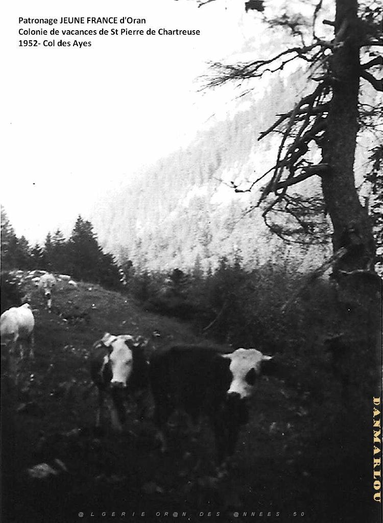 COLO JEUNE FRANCE 1952 col des Ayes.jpg